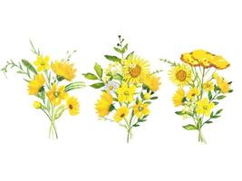 Set of bouquets with meadow yellow flowers and leaves. Watercolor floral illustration vector