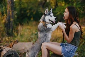 A woman with a husky breed dog smiles and affectionately strokes her beloved dog while walking in nature in the park in autumn against the backdrop of sunset photo