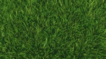 Grass green texture. Generate Ai photo