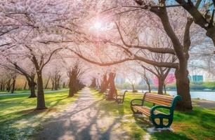 Cherry blossom city park. Japan sakura. Generate Ai photo