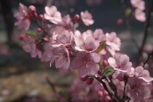 Cherry blossom tree branch. Spring Japan sakura. Generate Ai photo