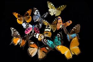 Butterflies on black background. Delicate art. Generate Ai photo