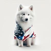 samoyed cute dog wearing an American flag hoodie. independence day 4th of July dog. Cute baby dog in hoodie. photo