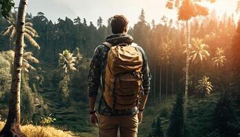 Rear view of man backpack travel in park garden and beautiful nature, Happy male tourist to travel in wild trip hiking during vacation Traveler and holidays. Non-existent person. photo