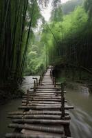 Scenery of Bamboo forest in spring surrounded by silence. Path to bamboo forest. . photo