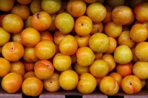 Pile of fresh yellow plums,organic food photo