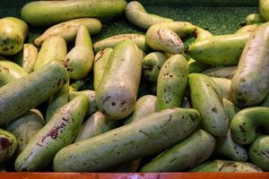 Lauki fresh vegetables.pile of bottle gourd with green background photo