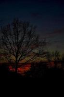 vistoso puesta de sol con rojo cielo y arboles y nubes foto