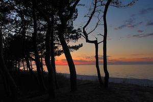 calm landscape on the Polish Baltic Sea during sunset photo