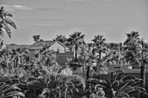 city of Corralejo on the Spanish Canary Island Fuerteventura on a warm holiday day photo