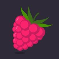 Raspberry with leaf vector icon.