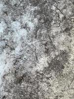 old concrete wall texture photo