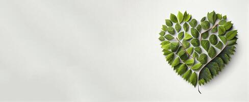 green leaf and rustic leaf gathered make a shape of heart photo