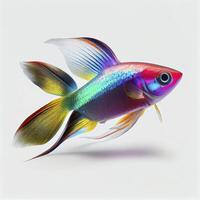 An ultra realistic Neon tetra fish that jumps by splashing on a white background photo