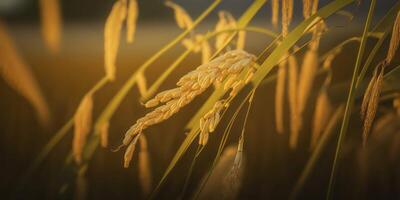 cerca arriba de un arroz arrozal un cosecha de abundancia ai generado foto