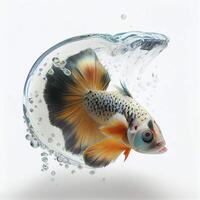 An ultra realistic Discus Guppy that jumps by splashing on a white background photo