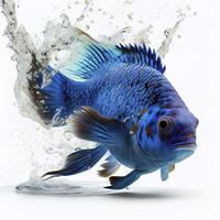 An ultra realistic Electric Blue Cichlid fish that jumps by splashing on a white background photo