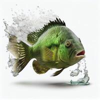 An ultra realistic Green Terror Cichlid fish that jumps by splashing on a white background photo