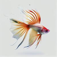 An ultra realistic Swordtail fish fighting fish that jumps by splashing on a white background photo