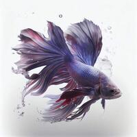 An ultra realistic Siamese fighting fish that jumps by splashing on a white background photo