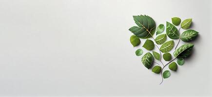 green leaf and rustic leaf gathered make a shape of heart photo