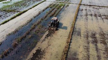 vista aérea de granjero en tractor rojo preparando tierra para plantar arroz con pájaros volando. agricultor trabajando en campo de arroz por tractor. gran paisaje de la industria agrícola. video