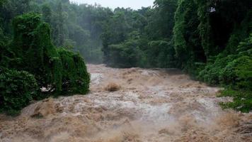 catarata de cachoeira nas montanhas da floresta. córregos sujos estão descendo as encostas das montanhas da floresta de montanha após fortes chuvas na tailândia. inundação do rio, foco seletivo. video