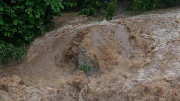 cataracte de cascade dans les montagnes forestières. des ruisseaux sales coulent sur les pentes montagneuses de la forêt de montagne après de fortes pluies en thaïlande. inondation de la rivière, mise au point sélective. video