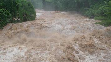 Waterfall cataract in forest mountains. Dirty streams are flowing down the mountain slopes of the mountain forest after heavy rains in Thailand. River flood, selective focus. video