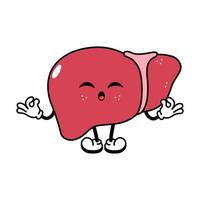 Cute funny Liver doing yoga character. Vector hand drawn traditional cartoon vintage, retro, kawaii character illustration icon. Isolated on white background. Liver relax character