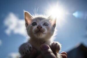 un humano mano sostiene un pequeño gatito en el aire luz de sol desde el frente azul cielo creado con generativo ai tecnología. foto