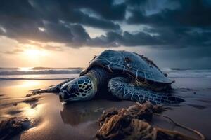 A large turtle drags itself onto a beach created with technology. photo