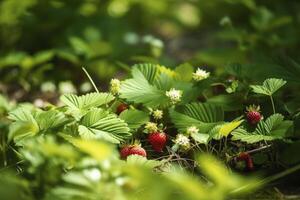 antecedentes con bosque fresas generativo ai. foto