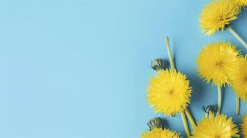 Banner with dandelions. Copy space, top view, festive background photo