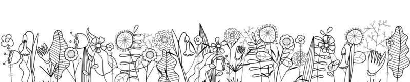 Flowers outline on white background. Hand drawn sketch wild blooms and herbs border. Delicate meadow linear flowers. Botanical abstracts frame base. Horizontal vector eps banner