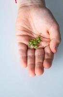 a child's hand is holding a green scarlet before Easter photo