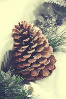 elegant Christmas decoration with snow cones and green pine twigs, photo