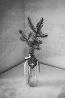 Christmas tree decoration in a decorative jug photo