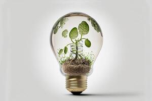 Plants growing inside a light bulb on isolated white background. Creative imagination idea thinking concept. illustration. photo