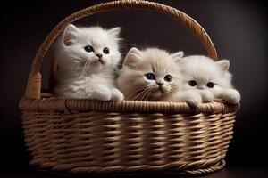 Fluffy white kittens sitting in a wicker basket. . Digital Art Illustration photo