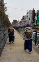 Tokyo, Japan in April 2019. Several Koinobori are seen being installed along a river in Tokyo close to the Tokyo Sktree. photo