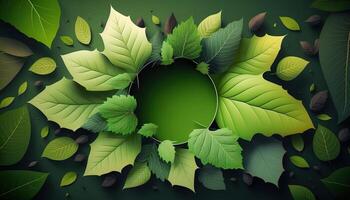 illustration of empty space surrounded by green leaves photo