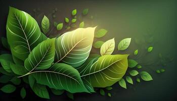 illustration ecological background top view of green different leaves growing in botanical garden photo