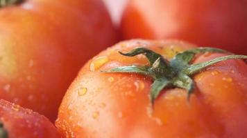 pomodoro fresco con goccia d'acqua da vicino video