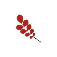 autumn red color leaf vector icon