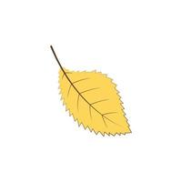 autumn yellow color leaf vector icon