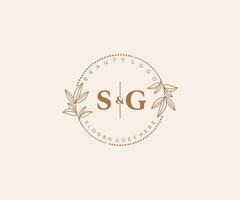 initial SG letters Beautiful floral feminine editable premade monoline logo suitable for spa salon skin hair beauty boutique and cosmetic company. vector