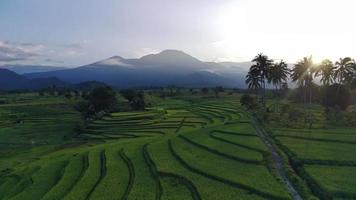 en kort video av de naturlig skönhet av indonesien i de morgon- med naturlig natur