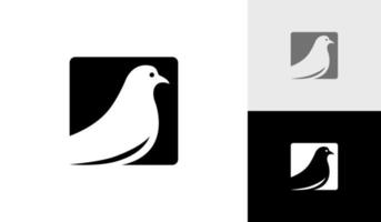 Pigeon bird silhouette logo design with square vector