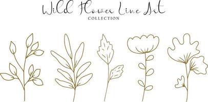 Aesthetic Wild Flower Line Art Collection vector